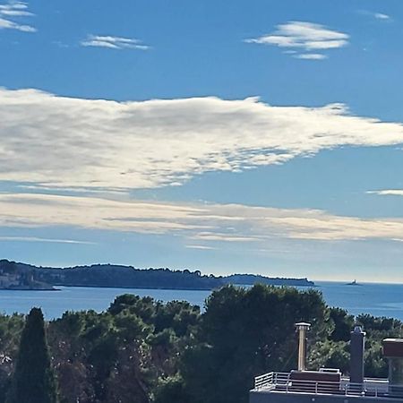 Villa Salvia Rooms And Apartments Rovinj Bagian luar foto