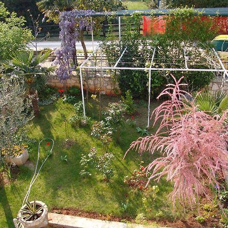 Villa Salvia Rooms And Apartments Rovinj Bagian luar foto