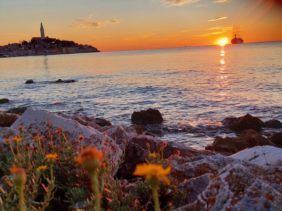 Villa Salvia Rooms And Apartments Rovinj Bagian luar foto
