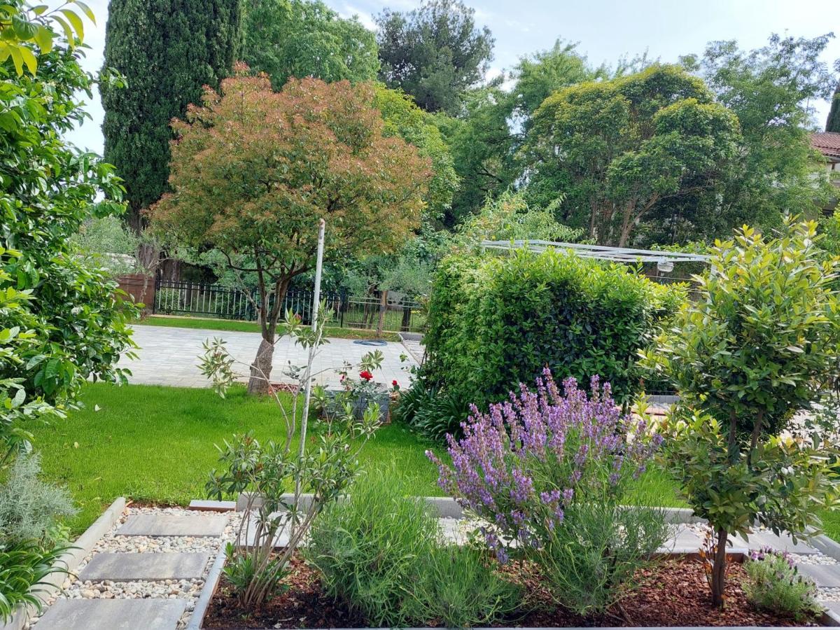 Villa Salvia Rooms And Apartments Rovinj Bagian luar foto