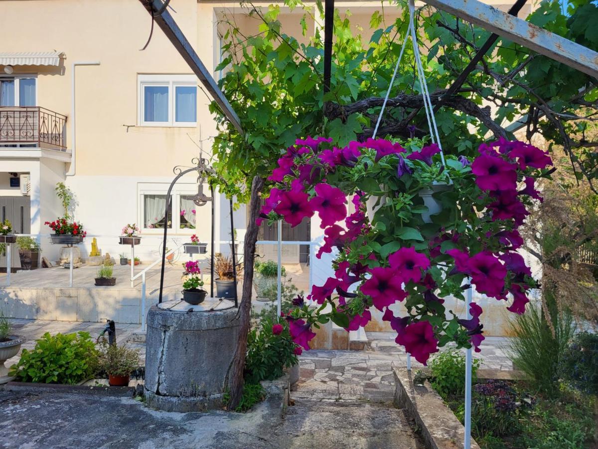 Villa Salvia Rooms And Apartments Rovinj Bagian luar foto