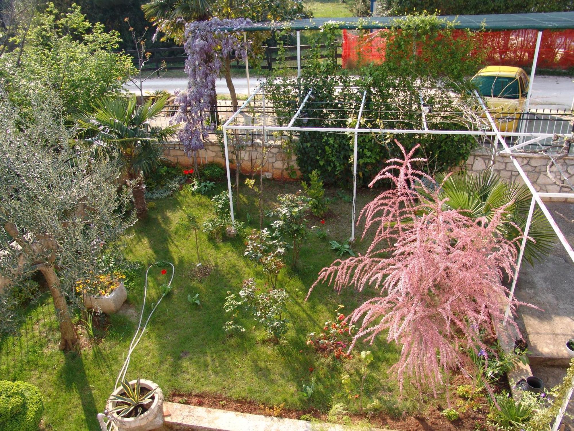 Villa Salvia Rooms And Apartments Rovinj Bagian luar foto